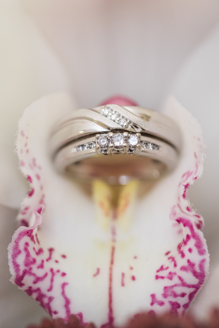 Toronto Wedding Photographers