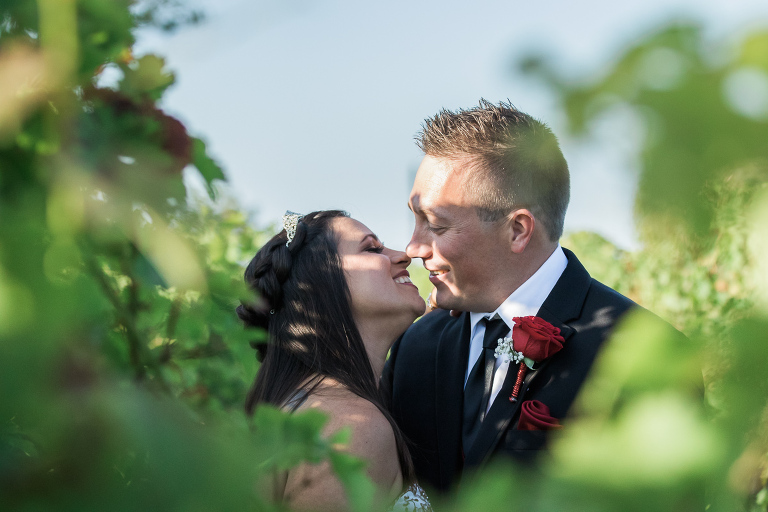 Winery Wedding Photographers