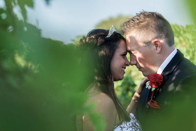 Windsor Essex Wedding Photographers